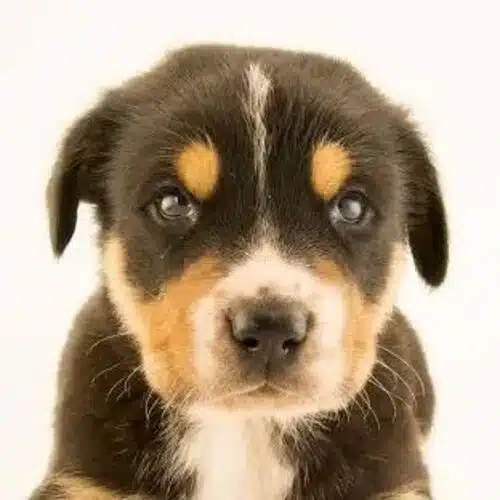 Avatar von baerbelbreitzke