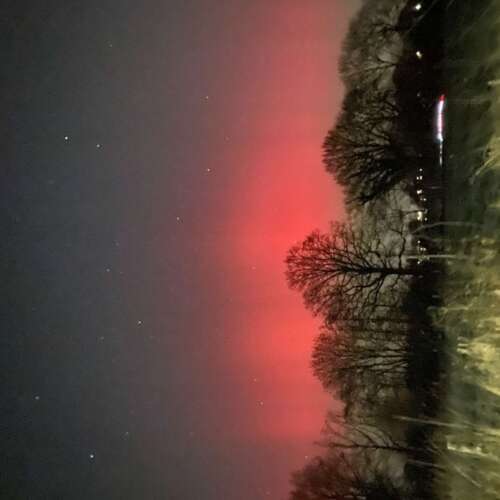 Avatar von jankaamsparen