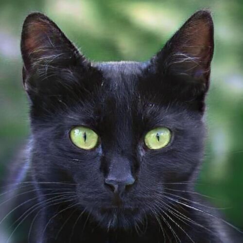 Avatar von max.hoffmann